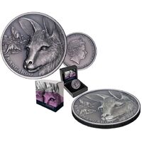 2021 $1 Kangaroo 1oz Silver Antique Coin