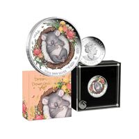 2021 50c Dreaming Down Under - Koala 1/2oz Silver Proof Coloured Coin