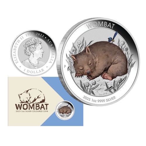 2023 1oz Australian Wombat Silver Coloured Coin in Card