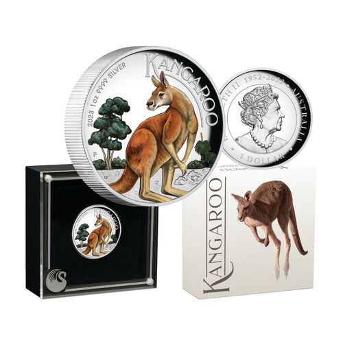 2023 $1 Australian Kangaroo 1oz Silver High Relief Coloured Coin