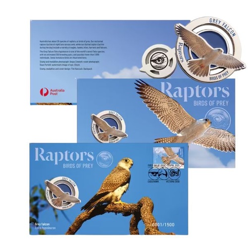 2025 Raptors – Grey Falcon - Birds of Prey PMC