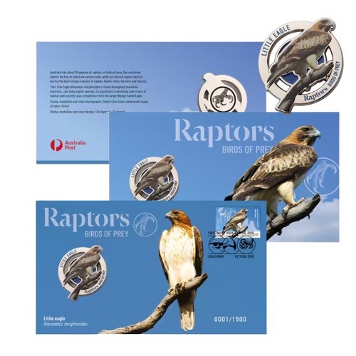 2025 Raptors - Little Eagle - Birds of Prey PMC