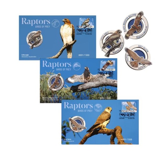 Complete Set - 2025 Raptors Birds of Prey 3 x PMC Combo