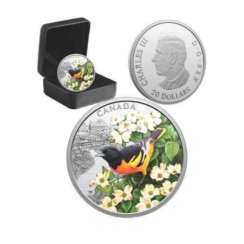 2025 $20 Colourful Birds: Baltimore Oriole 31.39g Coloured Fine Silver Coin 