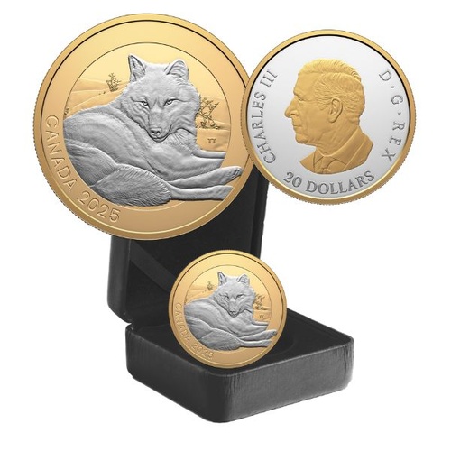 2025 $20 Grey Wolf - Animal Portraits Selectively Gold Plated 1 Oz Fine Silver Coin